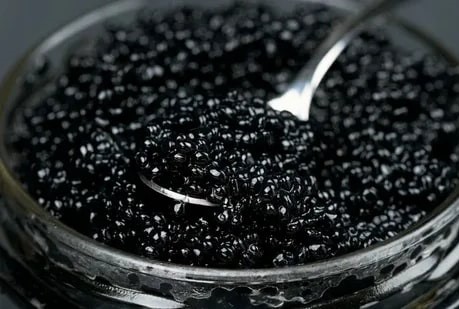 قیمت خرید کنسرو خاویار عمده به صرفه و ارزان